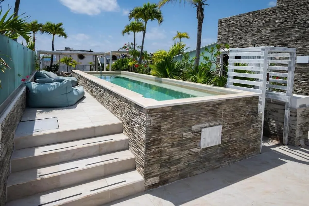 New Port Calidez Y Estilo En Armonia Apartman Playa del Carmen Mexikó