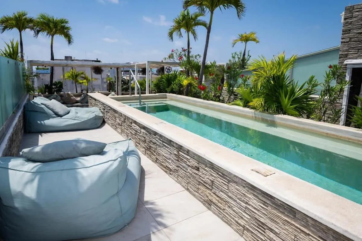 New Port Calidez Y Estilo En Armonia Apartman Playa del Carmen