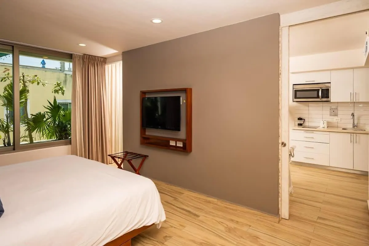 New Port Calidez Y Estilo En Armonia Apartman Playa del Carmen Mexikó