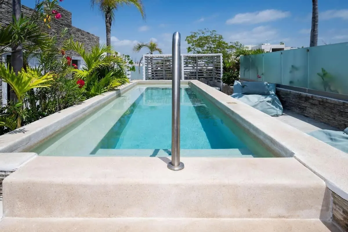 New Port Calidez Y Estilo En Armonia Apartman Playa del Carmen 0*,  Mexikó