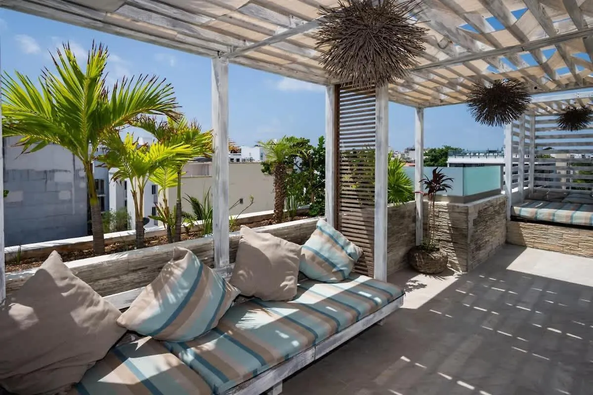 Appartement New Port Calidez Y Estilo En Armonia à Playa del Carmen 0*,